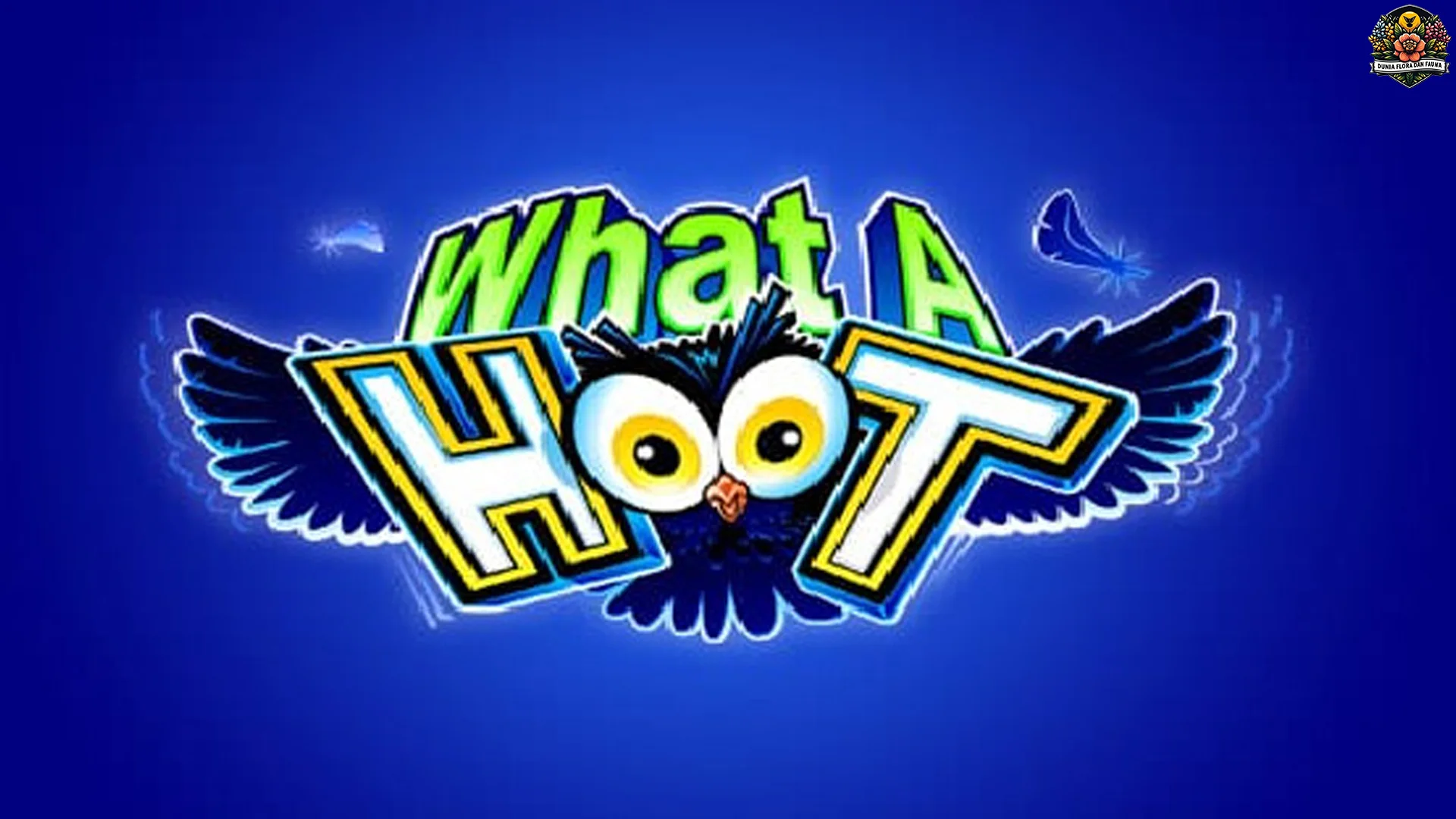 Aesthetic Banget! 4 Visual What A Hoot yang Bikin Betah Ngiler