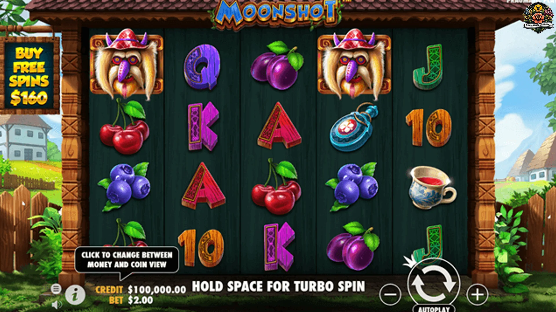 Spek Gila! 5 Review Jujur Moonshot Buat Pemula Mantap