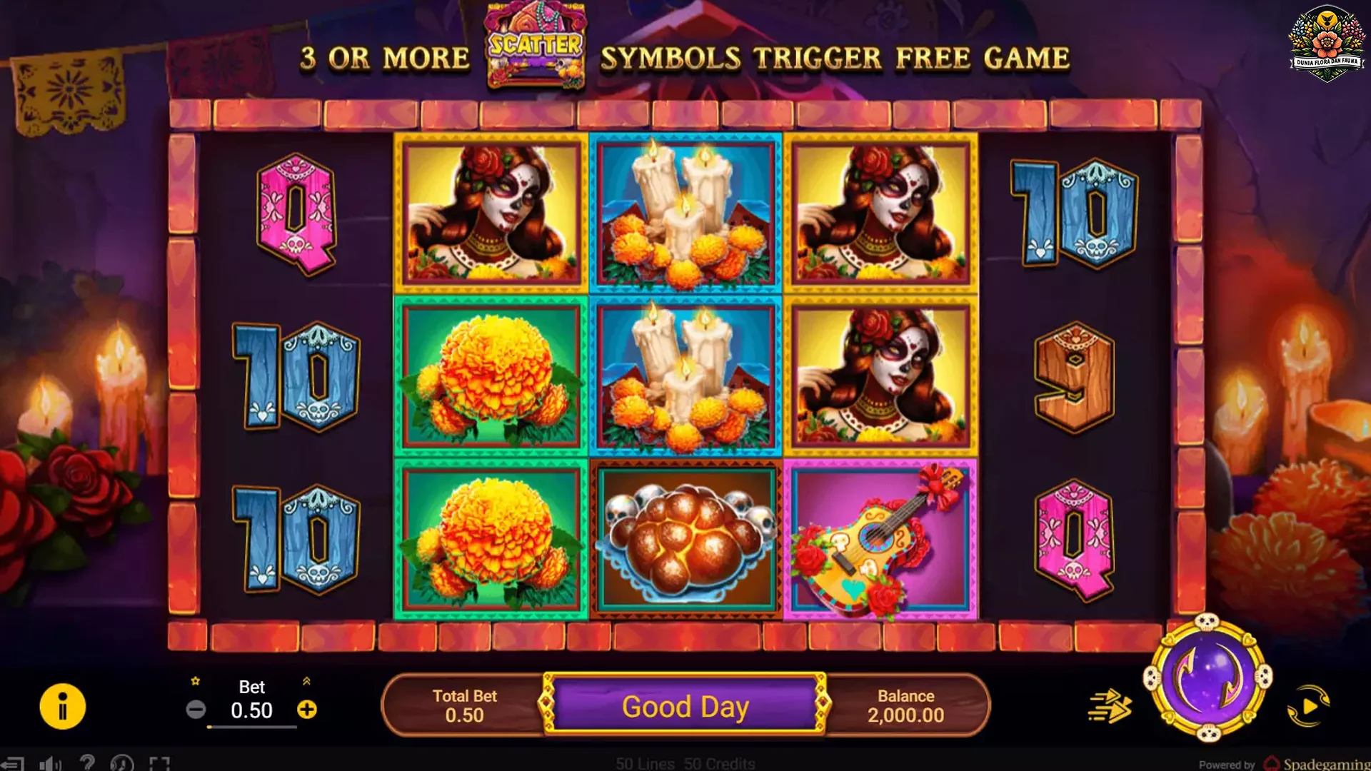 5 Ngegas Sensasi Halloween Vacation yang Jarang Diketahui